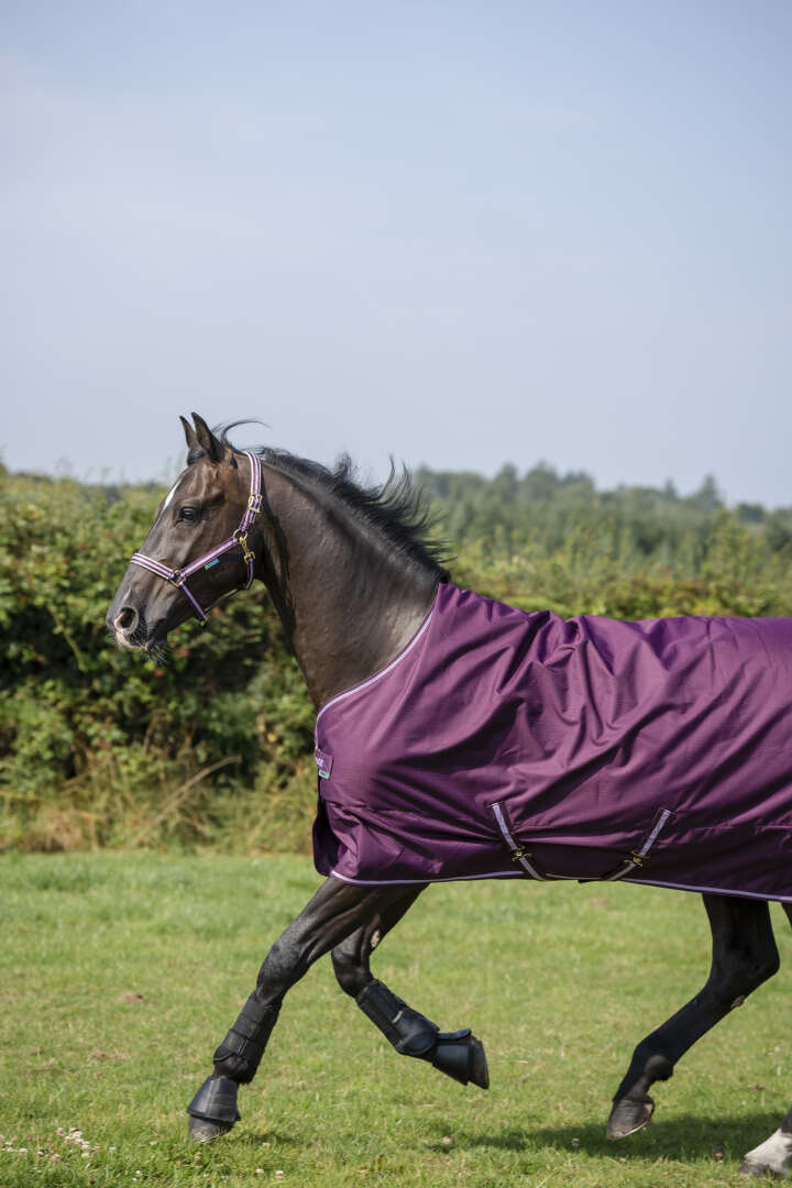 bucas Outdoordecke Freedom Turnout 50 g Blueberry